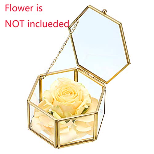 Hipiwe Preserved Flower Glass Box, Hexagon Glass Jewelry Decorative Bin, Ornate Trinket Display Organizer Case Keepsake Bo...