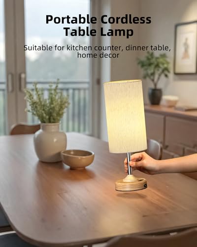 EZVALO Cordless Table Lamp, Ambient Light, Dimmable, Touch, Timer, 2700K, Bedroom, Portable, LED, Wireless, Rechargeable, ...