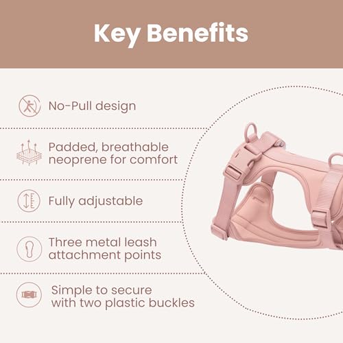 MY PET MARKET No Pull Dog Harness and Leash Set 3-in-1 Adjustable Anti Pull Dog Puppy Harness with Hands-Free Matching Lea...