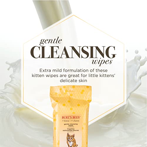 Burt's Bees for Pets Kitten Grooming Wipes with Buttermilk and Honey, Waterless Cat Bath Wipes for Face, Paws, Tail and Co...