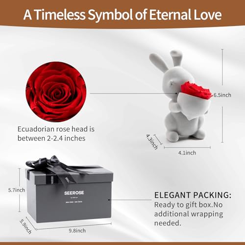 SEEROSE Preserved Rose with Cute Rabbit, Forever Real Rose Last for Years, Romantic Flower Gift for Her, Wife, Girlfriend,...