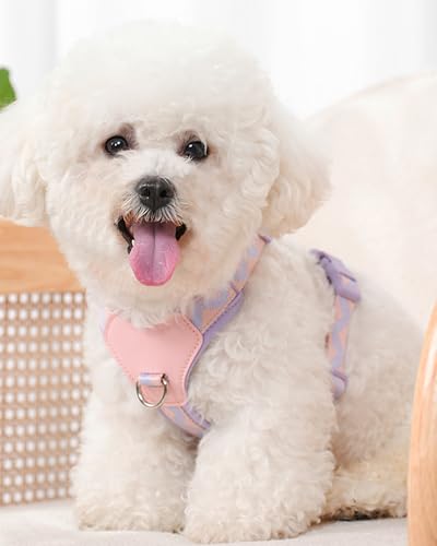 Petank Purple Medium Dog Harness for Medium Dogs, No Pull Dog Harness with 2 Leash Clips, Puppy Harness, Adjustable Dog Ve...