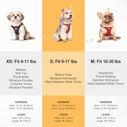 Beirui ‌Stylish PU Leather Dog Harness‌ and Leash Set for Small Dogs, ‌Adjustable Step in Dog Vest Harness with Breathable...