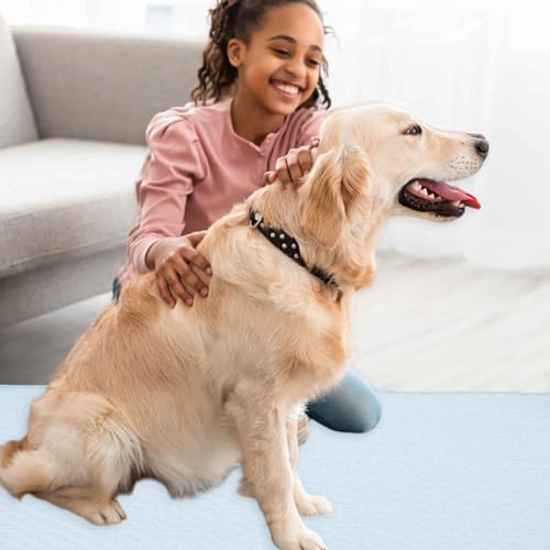 GLIDESMOOTH Dog Cooling Mat, Durable Machine Washable Pets Cool Pad, Large, Blue