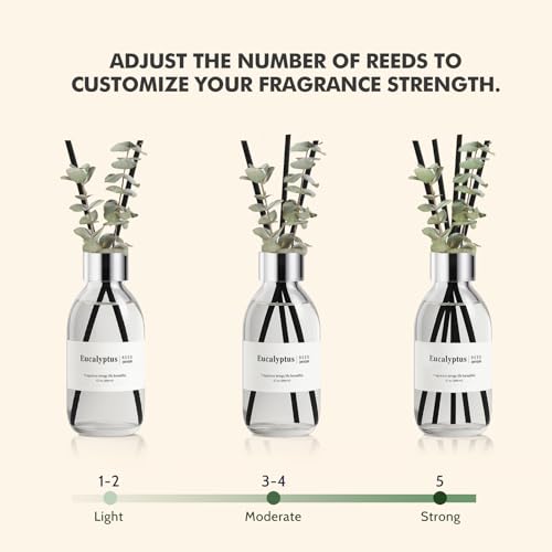 Clesh Reed Diffuser Set, 6.7 oz Eucalyptus Scented Diffuser with Sticks, Home Fragrance Reed Diffuser for Bathroom Shelf D...