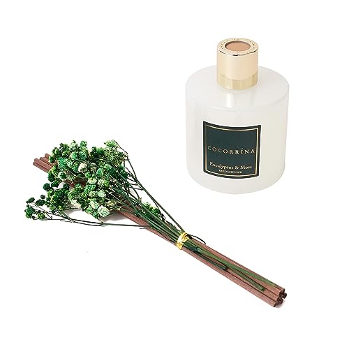 Cocorrína Reed Diffuser Sets- Eucalyptus & Moss Scented Diffuser with Sticks Home Fragrance Reed Diffuser for Bathroom She...