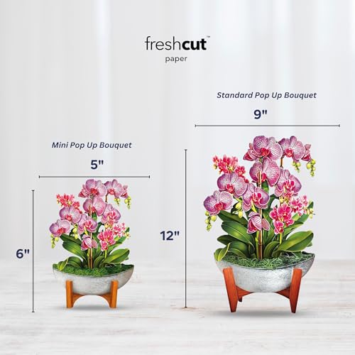 Freshcut Paper Pop Up Cards, Mini Orchid Oasis (Set of 2), 6 Inch Mini Sized Forever Flower Bouquet 3D Popup Greeting Card...