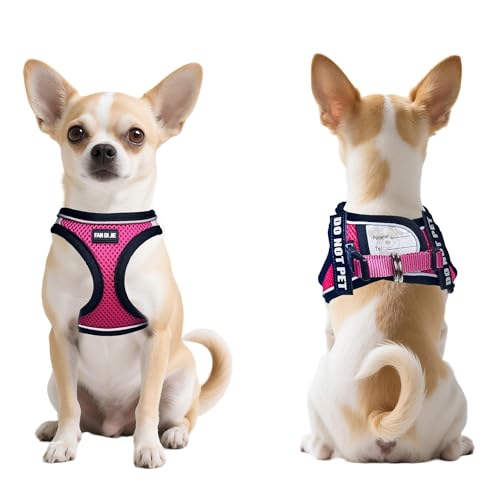 Service Dog Harness Vest Set Emotional Support Small Size Dog- 6PCS Removable Patches -Mesh Puppy Harness and Leash Set Tr...