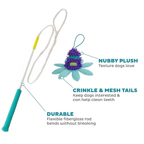 Outward Hound FlyFetch Teaser Wand Dog Toy with Crinkle Attachment, Durable for Indoor & Outdoor Play, All Breeds, 17.7"
