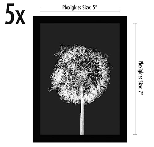 Americanflat 5x7 Picture Frame with Polished Plexiglass - Set of 5 - Galleria Collection - Picture Frames for Tabletop and...