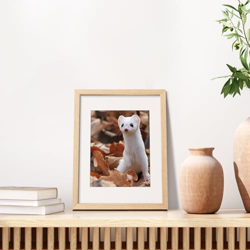 upsimples 11x14 Picture Frame, Natural Solid Wooden Picture Frames, Display 8x10 with Mat or 11 x 14 Without, Vertical or ...