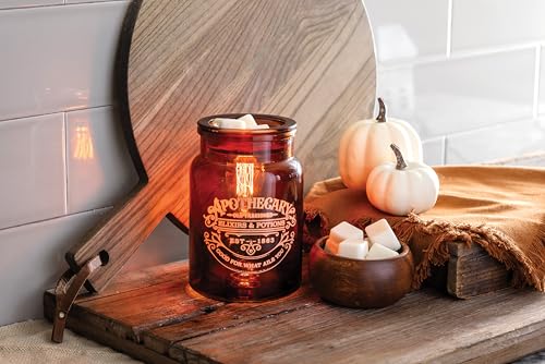 Candle Warmers ETC. Vintage Bulb Illumination Fragrance Warmer- Light-Up Warmer for Warming Scented Candle Wax Melts and T...