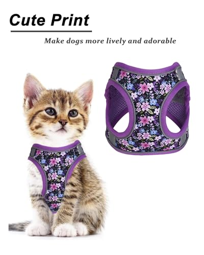 JUFOO XXS Purple Flower Pattern Dog Harness and Leash Set,No Escape Puppy Harnesses for Training Walking，Breathable Adjust...