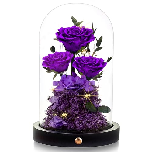 Agrul Mothers Day Flowers Roses Gifts for Mom,Forever Preserved Flower Rose in Glass Dome,Fresh Flowers for Delivery,Mothe...