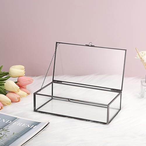 Hipiwe Glass Keepsakes Display Box with Lid - Decorative Black Glass Box Clear Rectangle Storage for Trinket Perfume Cards...