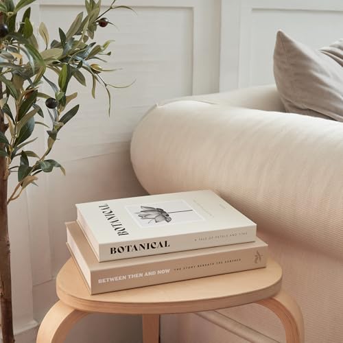 ZICOTO Beautiful Decorative Books - Set of 2 Boxes Enhance Your Coffee Table, Bookshelf or Mantel Decor - Aesthetic Fake/F...