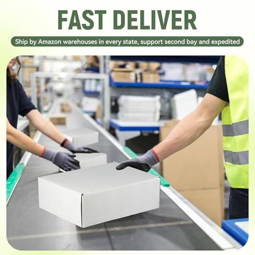 10"x8"x3" Shipping Boxes Set of 5, White Corrugated Cardboard Box Literature Mailer