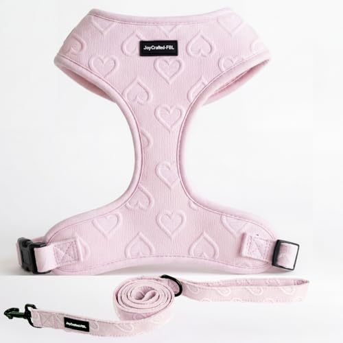 JoyCrafted-FBL No Pull Dog Harness & Leash Set | Lightweight Breathable Neoprene, Cute Heart Pattern, Adjustable Step-In V...