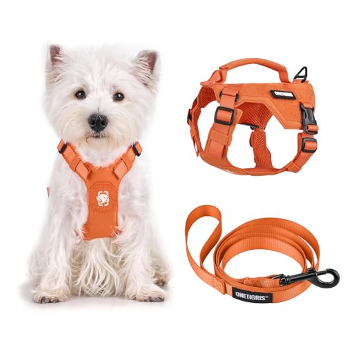 Onetigris Small Harness Dog Harness and Leash Set,MINI Trooper No Pull Dog Vest Fully Adjustable Harness for Puppy Dog and...