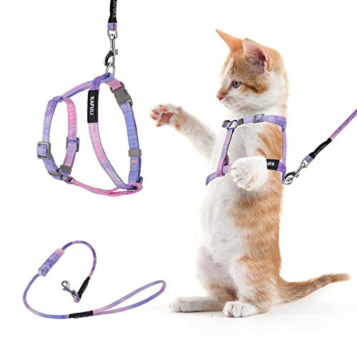 TIESOME Cat Harness and Leash Set, Adjustable Gradient Kitten Harness Escape Proof Harness with Leash for Kitty Outdoor Wa...
