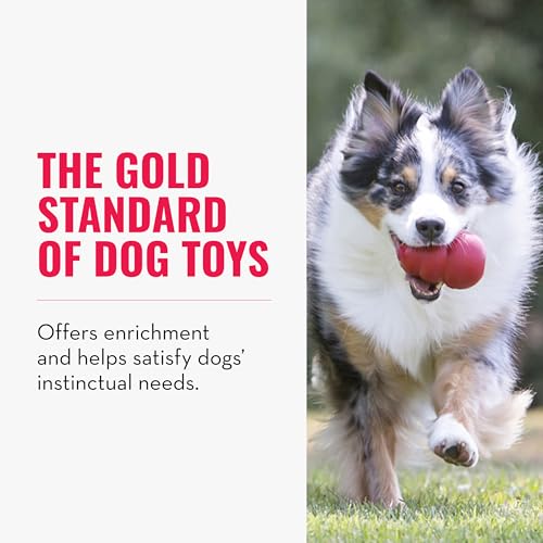 KONG Classic Stuffable Dog Toy - Fetch & Chew Toy for Dogs - Treat-Filling Capabilities & Erratic Bounce for Extended Play...