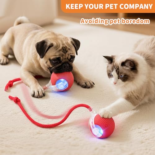 MAXTOOA Interactive Cat Toys for Indoor Cats Smart Automatic Ball Rolling for Bored Kitten Pet Upgraded Speedy Moving Chas...