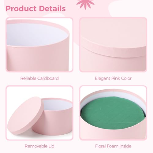 OMISTAR Round Floral Foam Present Box with Lid, Floral Arrangement Foam with Presentation Box, Elegant Flower Foam Contain...