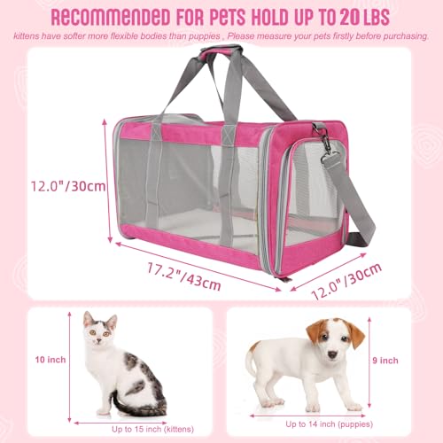 TIYOLAT Pet Carrier for Large Cats of 20 Lbs, Collapsible Carrier Bag for Big Cat or 2 Kittens,Soft Sided Puppy Carrier wi...