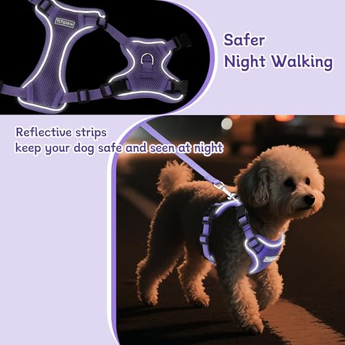 Ychpaw Small Dog Harness and Leash Set, Reflective Soft Breathable Mesh Vest, 3 Buckles, Adjustable Neck and Chest,Step in...