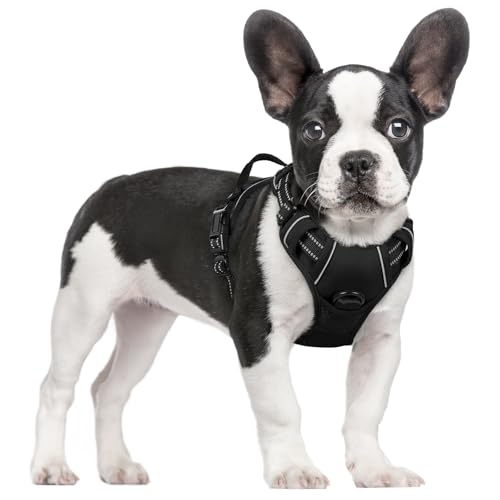 rabbitgoo Dog Harness No Pull with 2 Leash Clips, Adjustable Soft Padded, Reflective Oxford No Choke Pet Vest with Easy Co...