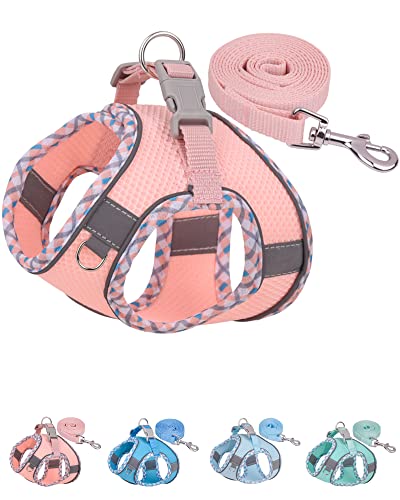 Petank Dog Harness for Small Medium Dogs No Pull, Puppy Harness and Leash Set, Step in Dog Harness for Walking, Running, T...