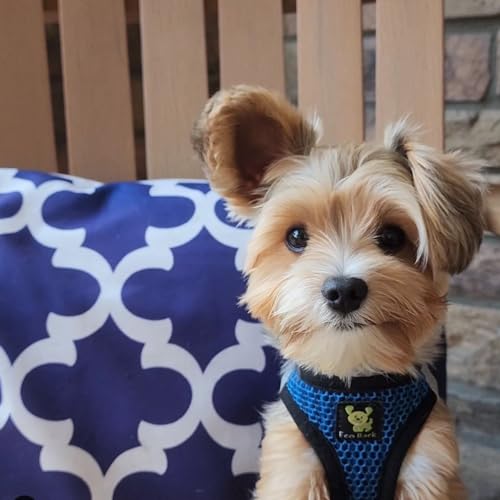 EcoBark Step in Dog Harness Reflective Soft Ultra Padded Mesh Dog Harnesses for XXS, XS, Small, and Medium Dogs Eco-Friend...