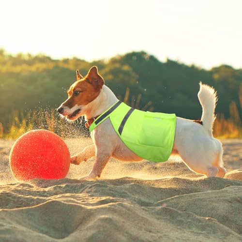 Aliceset 2 Pcs Dog Cooling Vest with 4 Recyclable Ice Pack Summer Outdoor Dog Cooling Harness Pet Adjustable Jacket Coole...