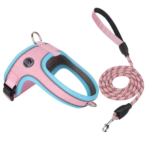 Dog Harness and Leash Set, No Pull Saddle Style Pet Harness, Breathable Mesh Adjustable Reflective Dog Vest for Dogs and C...