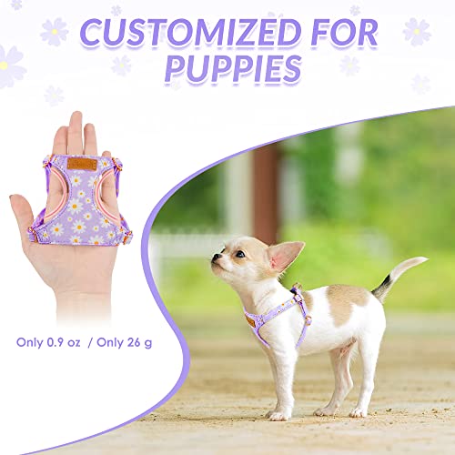 SlowTon Dog Harness Small Sized Dog - Soft XXS Dog Harness and Leash Set No Pull No Chock, Adjustable Lightweight Puppy Ha...