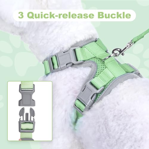 HIMNESEYO Small Dog Harness and Leash Set, No Pull Adjustable Pet Harness for Small Dogs, Breathable Mesh Rflective Dog Ve...