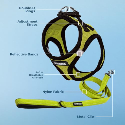 Best Pet Supplies Voyager Step-in Air All Weather Mesh Harness and Reflective Dog 5ft Leash Combo with Neoprene Handle, fo...