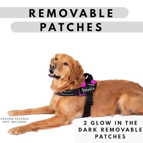 ShawnCo Essential Pro Dog Harness, No-Pull Pet Vest with 3 Leash Clips and Removable, Reflective Side Patches, Adjustable ...
