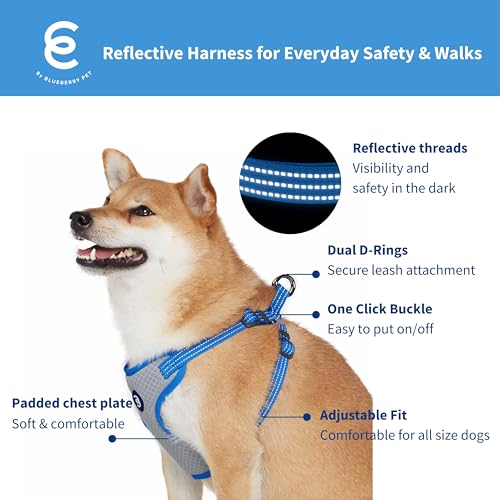 Blueberry Pet Dog Harness and Leash Set, Puppy Essentials for Large Dogs, Medium Sized Dogs, and Puppies, Reflective Dog C...