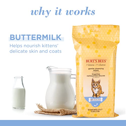 Burt's Bees for Pets Kitten Grooming Wipes with Buttermilk and Honey, Waterless Cat Bath Wipes for Face, Paws, Tail and Co...