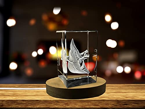 Doctors Gift 3D Engraved Crystal Keepsake/Gift/Decor/ (Small (3 x 2 x 2 in), Liver Art)