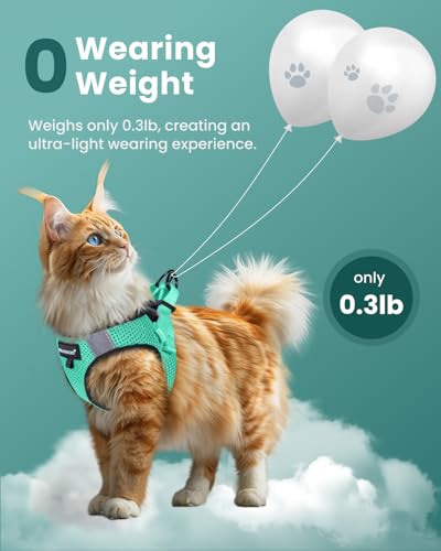 FAYOGOO Escape Proof Cat Harness and Leash Set for Walking, Secure-Fit Step-in Cat Vest Harness, Soft & Lightweight for Ki...