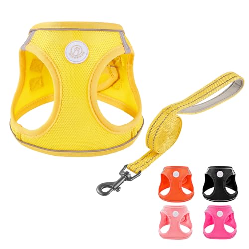 HIHANHAN Soft Mesh Dog Harness and Leash Set, No Pull Puppy Harness and Leash Set, Reflective Step in Harness for Small Me...