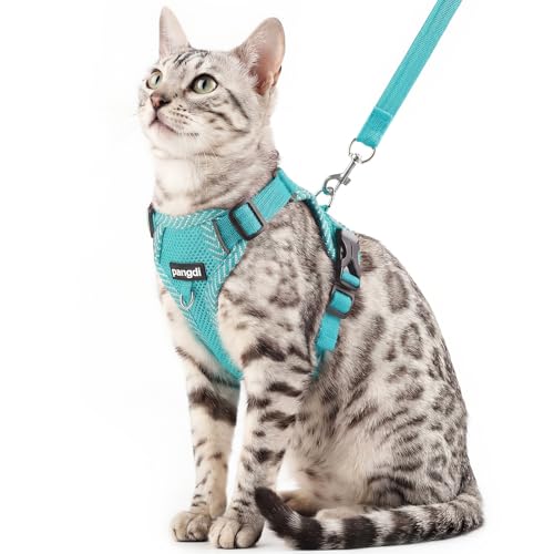 pangdi Cat Harness and Leash Escape Proof Extra Large Kitten Harness Maine Coon Cat Vest for Walking Travel, Turquoise, XL