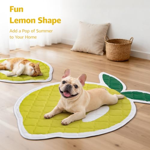LOOBANI Dog Cooling Mat 38"x50"- Cute Lemon Design Cooling Mat for Dogs (Cool & Warm Side), Waterproof Self-Cooling Mat fo...