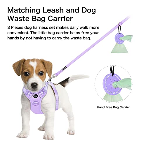 Petmolico Dog Harness for Small Dogs, Cute Harness Vest with Two Leash Clips and Soft Handle, Reflective Easy Walk Puppy V...