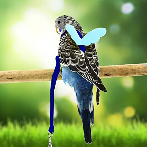 Budgerigar Harness and Leash, Adjustable Parrot Bird Training Design Anti-Bite, Bird Nylon Rope with Cute Wing for Budgeri...