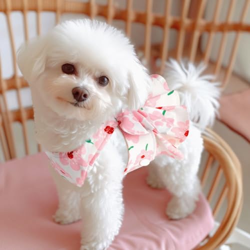 Qiansail Cute Dog Dress, Dogs Summer Dresses Female Bowknot Harness Leash Set Puppy Clothes Cat Princess Accessories for H...