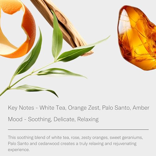 AromaTech White Tea Aroma Essential Oil Blend: Luxury Hotel Inspired Aromatherapy with White Tea, Orange & Palo Santo for ...