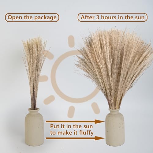 610 PCS Dried Pampas Grass Decor, Dried Flower Bouquets for Wedding, Home, Centerpiece Table, Modern Home, Western Living ...